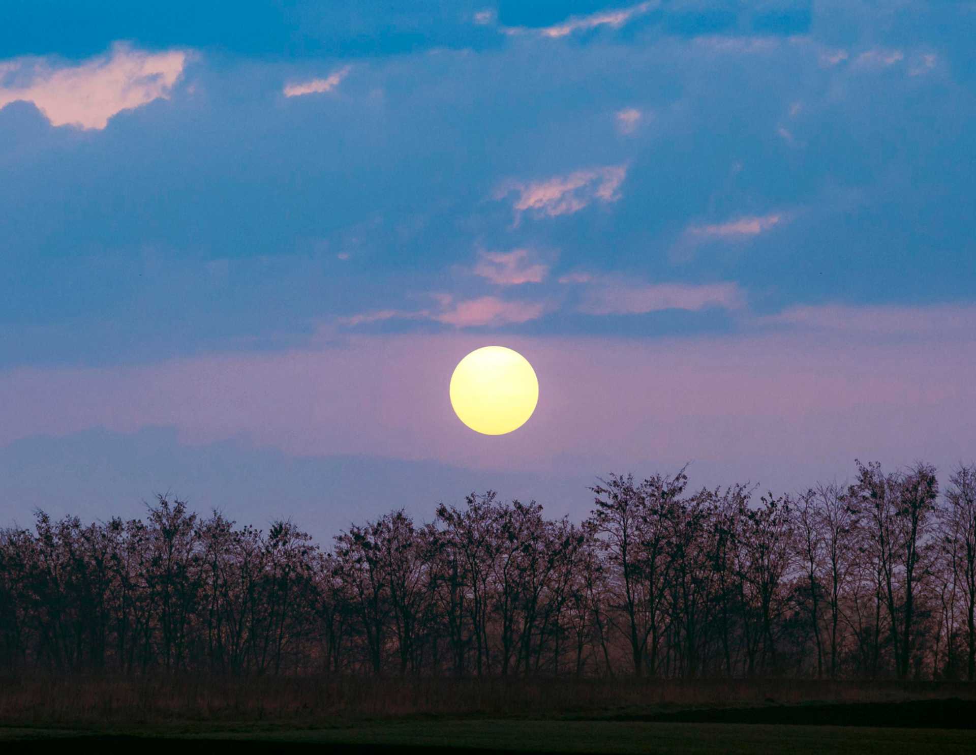 Luna Llena en Capricornio